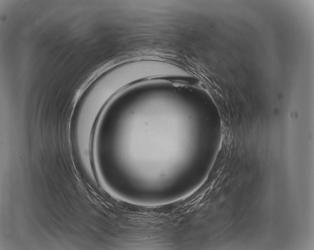 X0000086330244200703301237