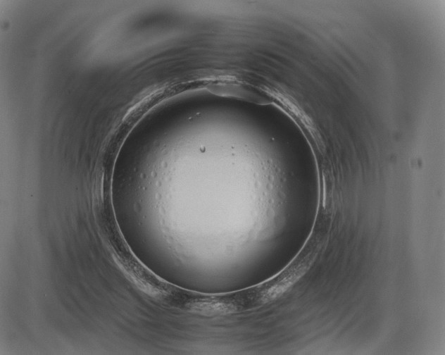 X0000086330253200703301237