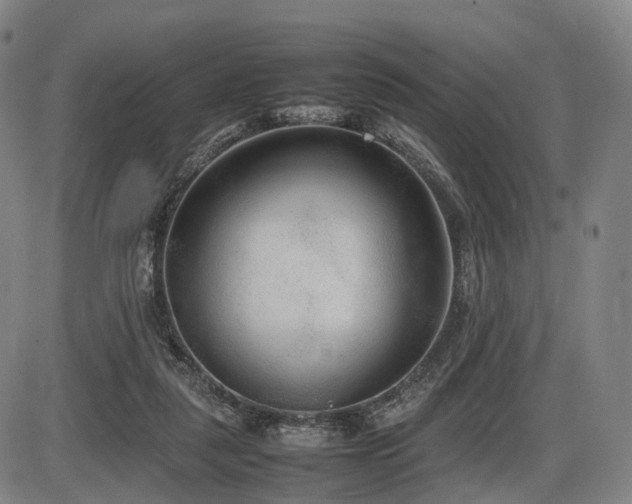 X0000086330259200703301237
