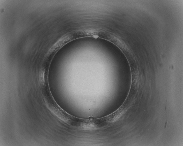 X0000086330262200703301237