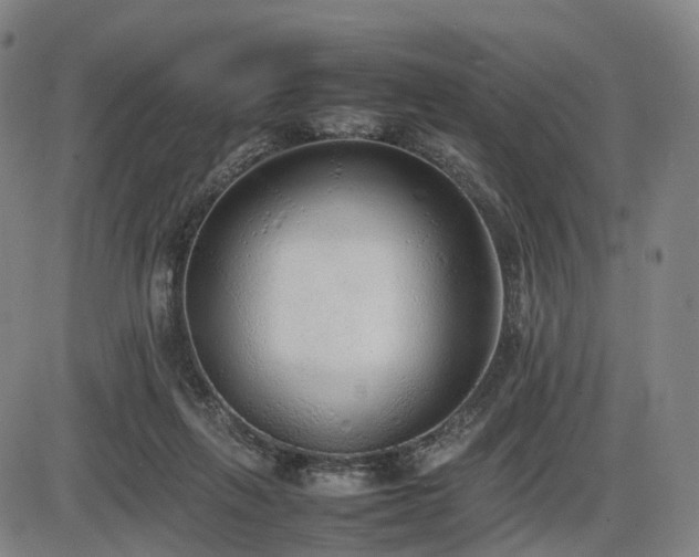 X0000086330263200703301237