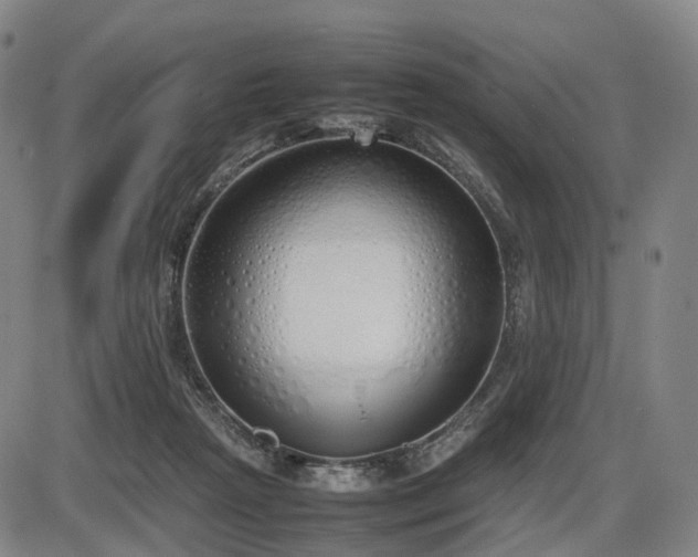 X0000086330265200703301237