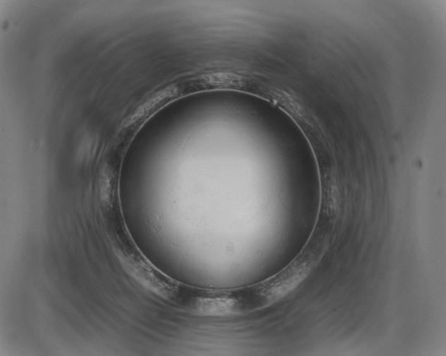 X0000086330266200703301237