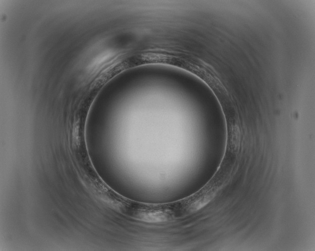 X0000086330267200703301237