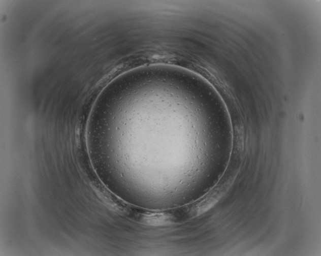 X0000086330269200703301237
