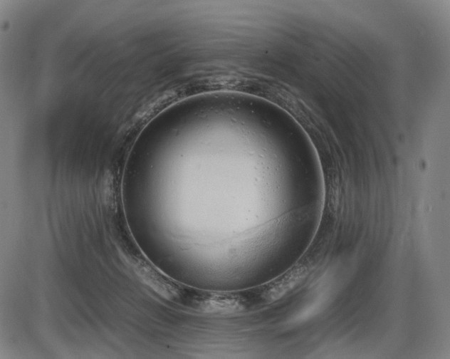 X0000086330270200703301237
