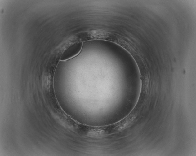 X0000086330271200703301237