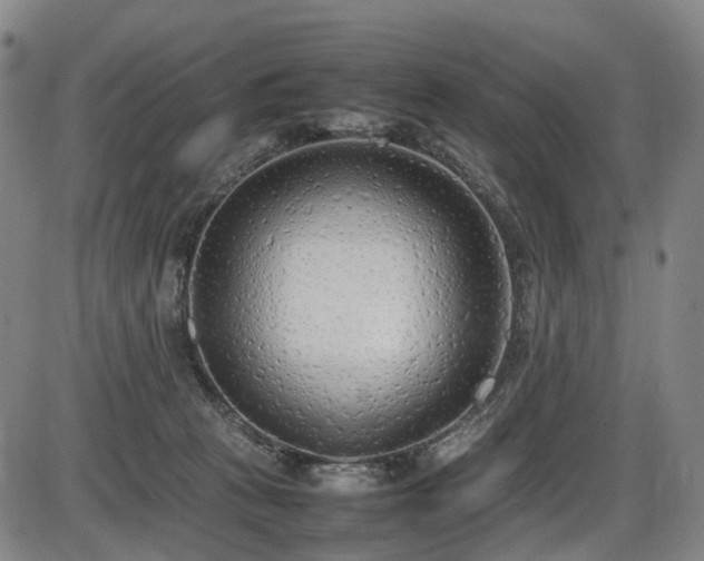 X0000086330273200703301237