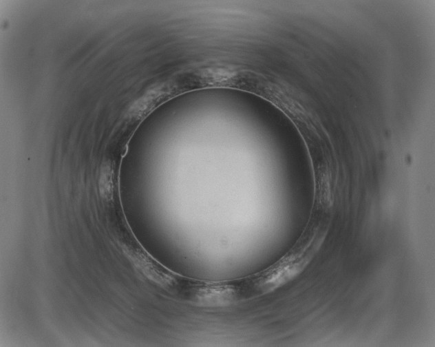X0000086330274200703301237