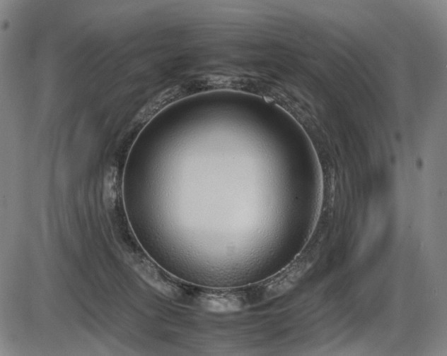 X0000086330275200703301237