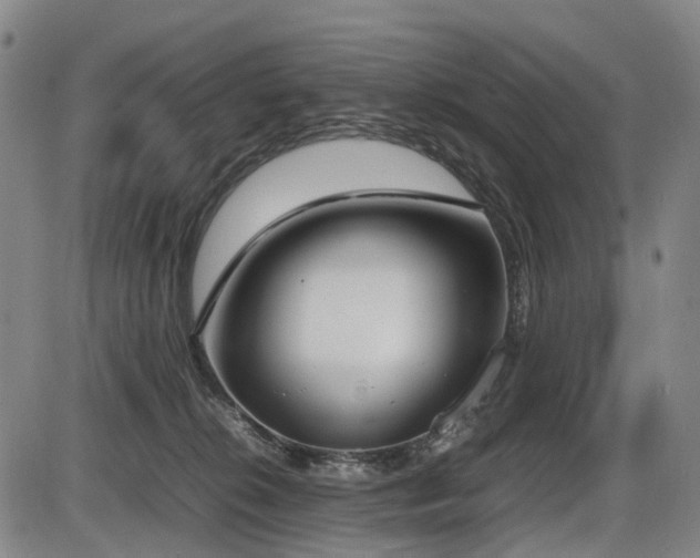 X0000086330276200703301237