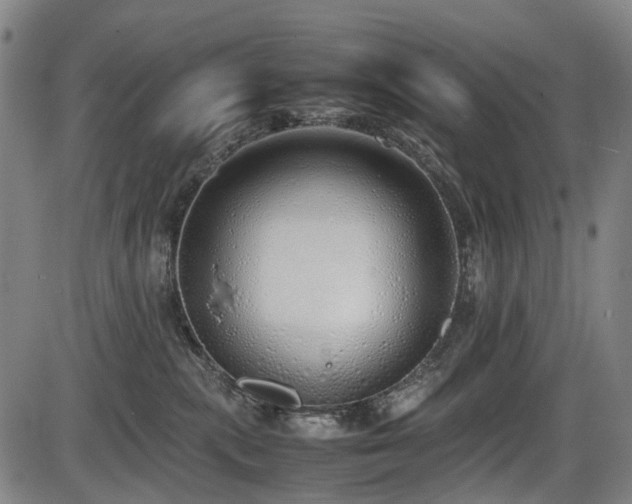 X0000086330283200703301238