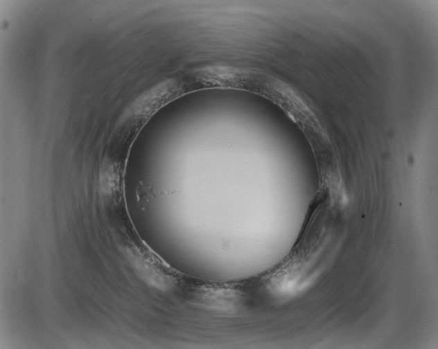 X0000086330284200703301238