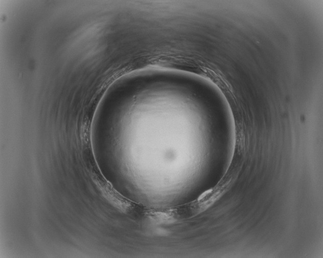 X0000086330285200703301238