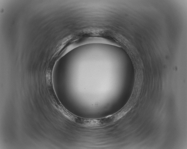 X0000086330288200703301238
