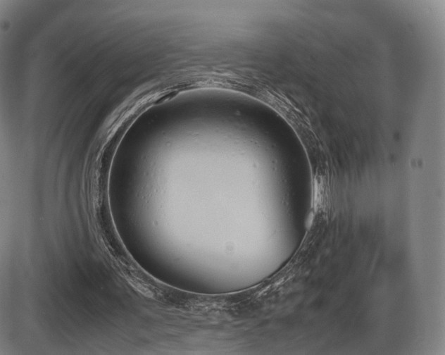 X0000086330291200703301237