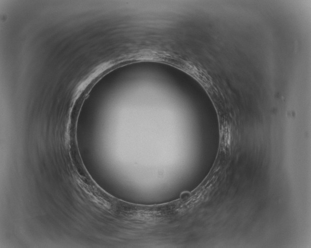 X0000086330292200703301237