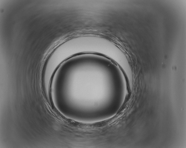 X0000086330293200703301237