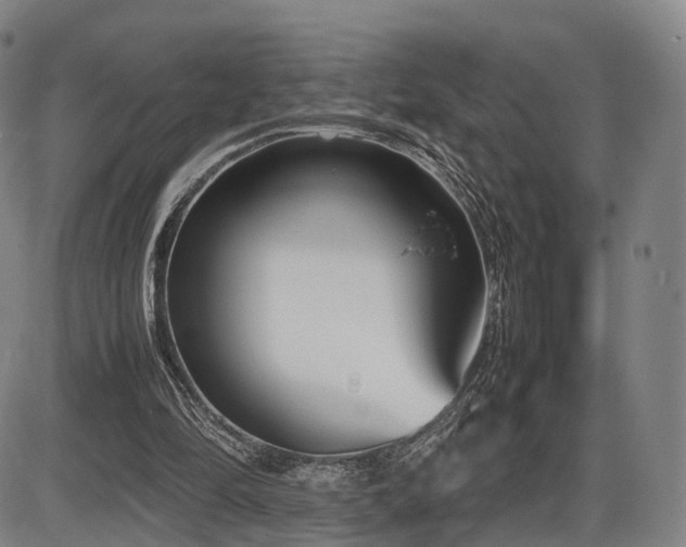 X0000086330294200703301237