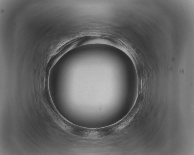 X0000086330301200703301237