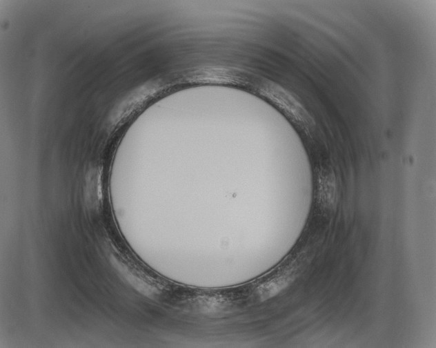 X0000086330302200703301237
