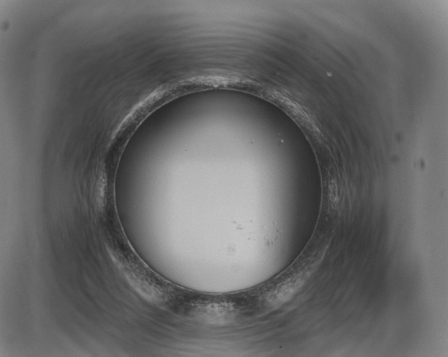 X0000086330304200703301237