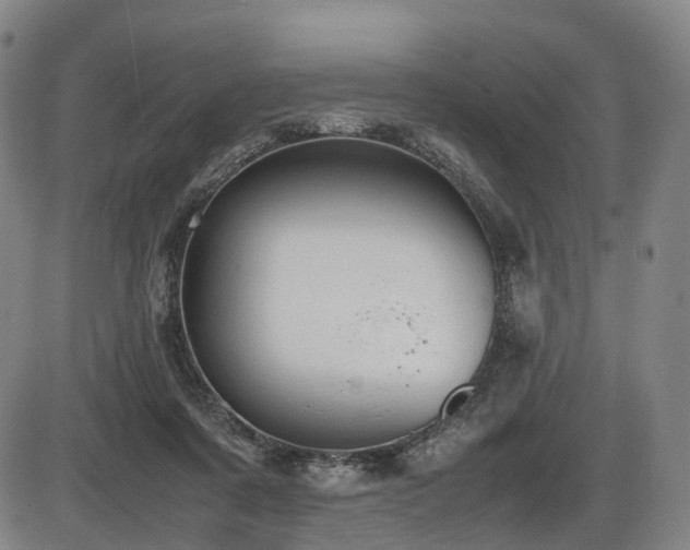 X0000086330311200703301237