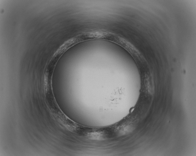 X0000086330312200703301237