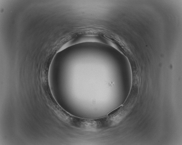 X0000086330317200703301236
