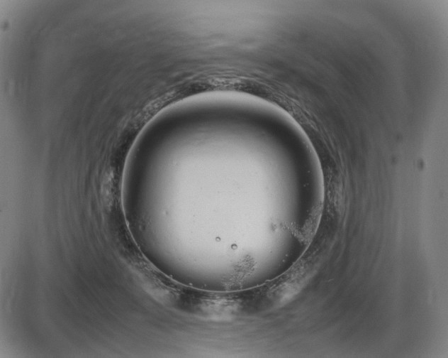 X0000086330319200703301236