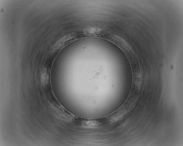 X0000086330324200703301236