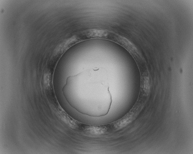 X0000086330326200703301236