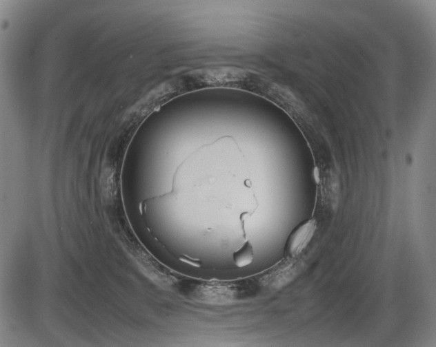 X0000086330327200703301236