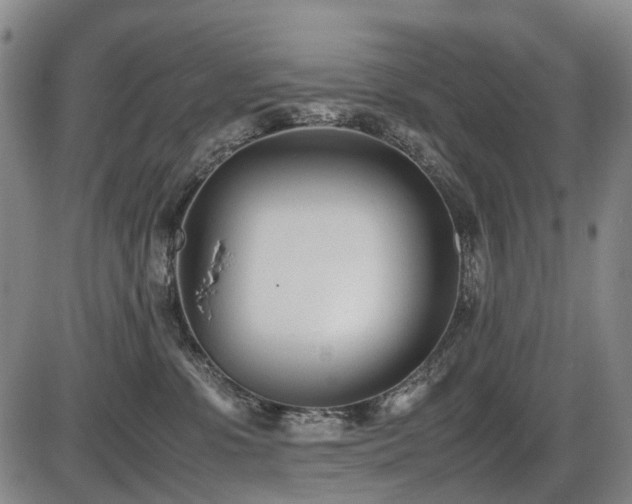 X0000086330331200703301236