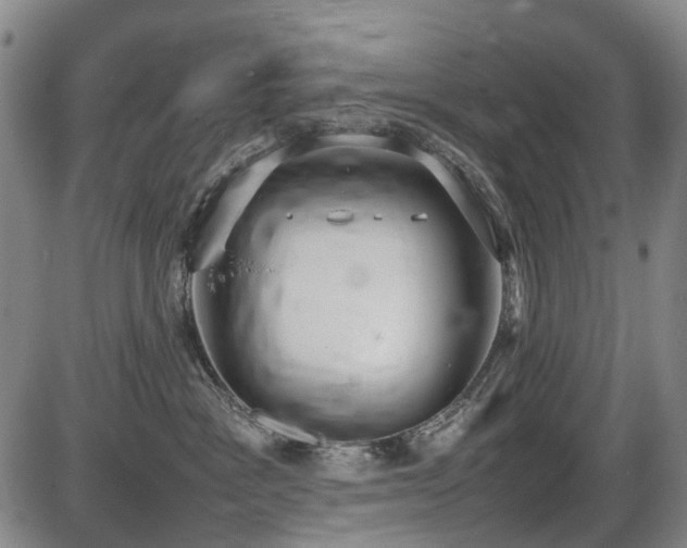 X0000086330333200703301236