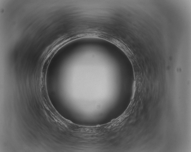 X0000086330338200703301235