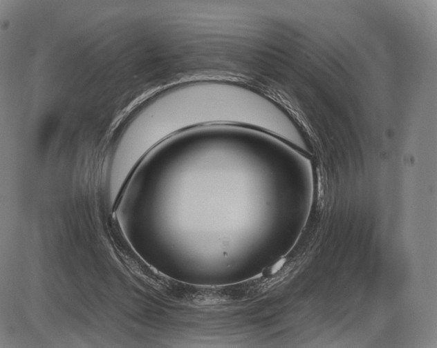 X0000086330348200703301235