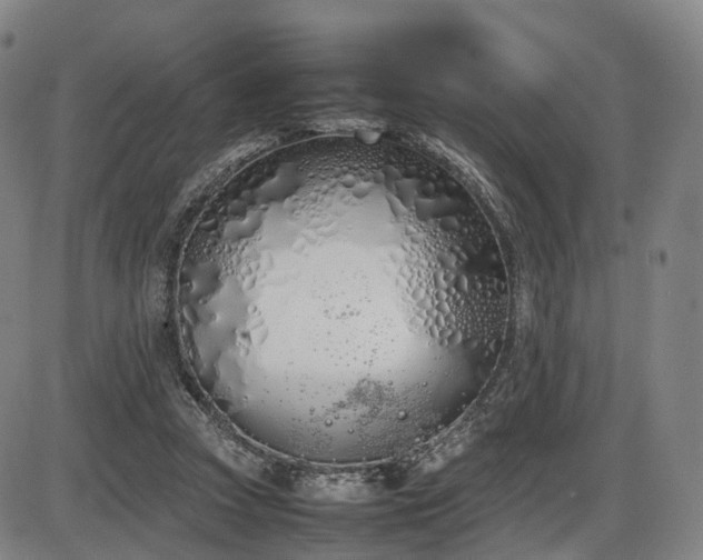 X0000086330353200703301236