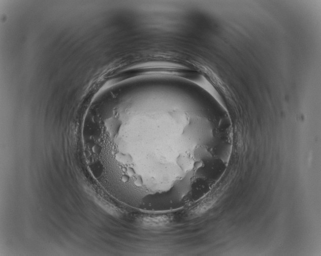 X0000086330357200703301236