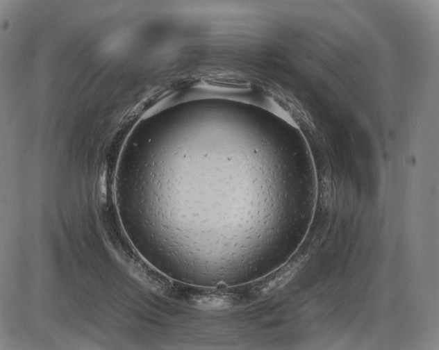 X0000086330358200703301236