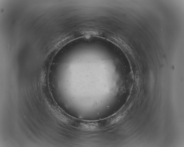 X0000086330359200703301236