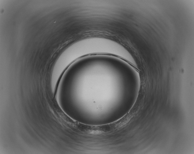 X0000086330360200703301236