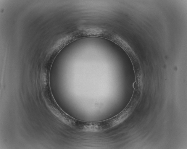 X0000086330362200703301236