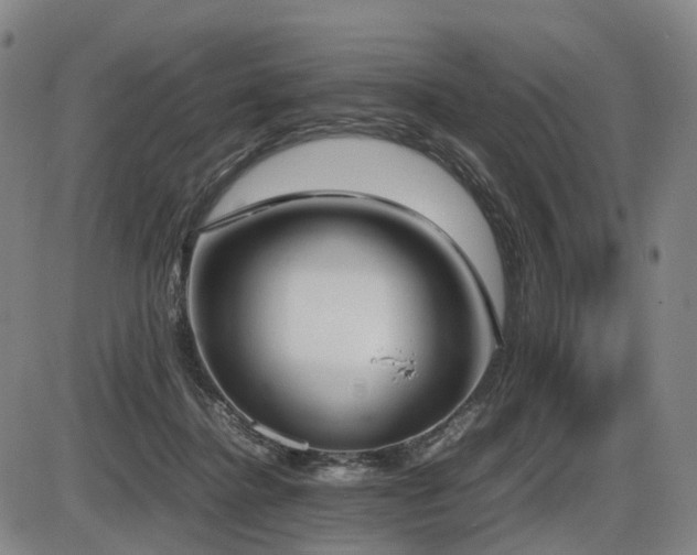 X0000086330364200703301236