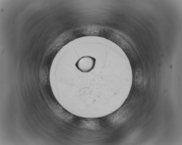 X0000086330370200703301236