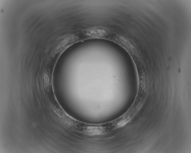 X0000086330371200703301236
