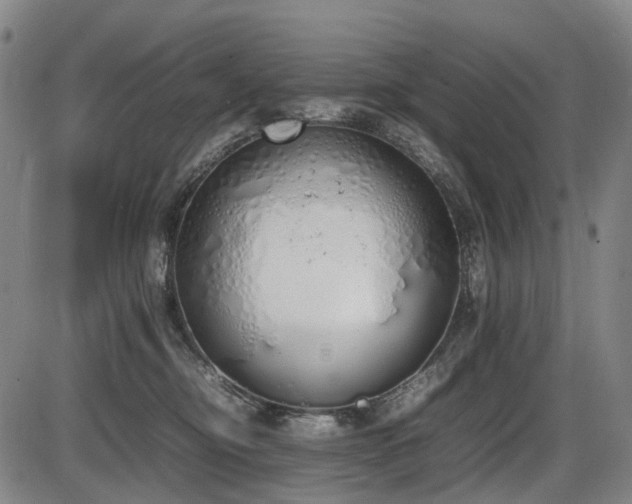 X0000086330374200703301236