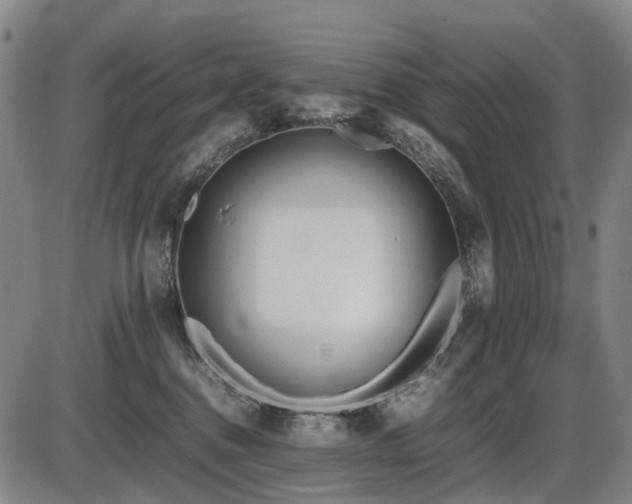 X0000086330376200703301236