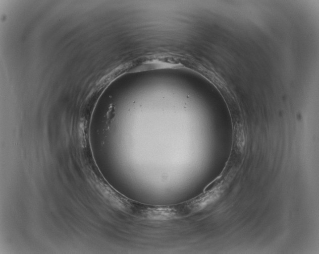 X0000086330378200703301236