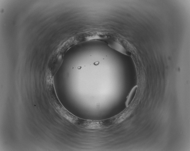 X0000086330384200703301236